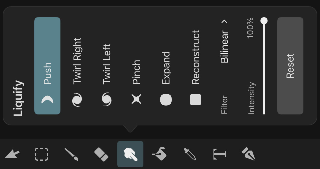Liquify tool options panel