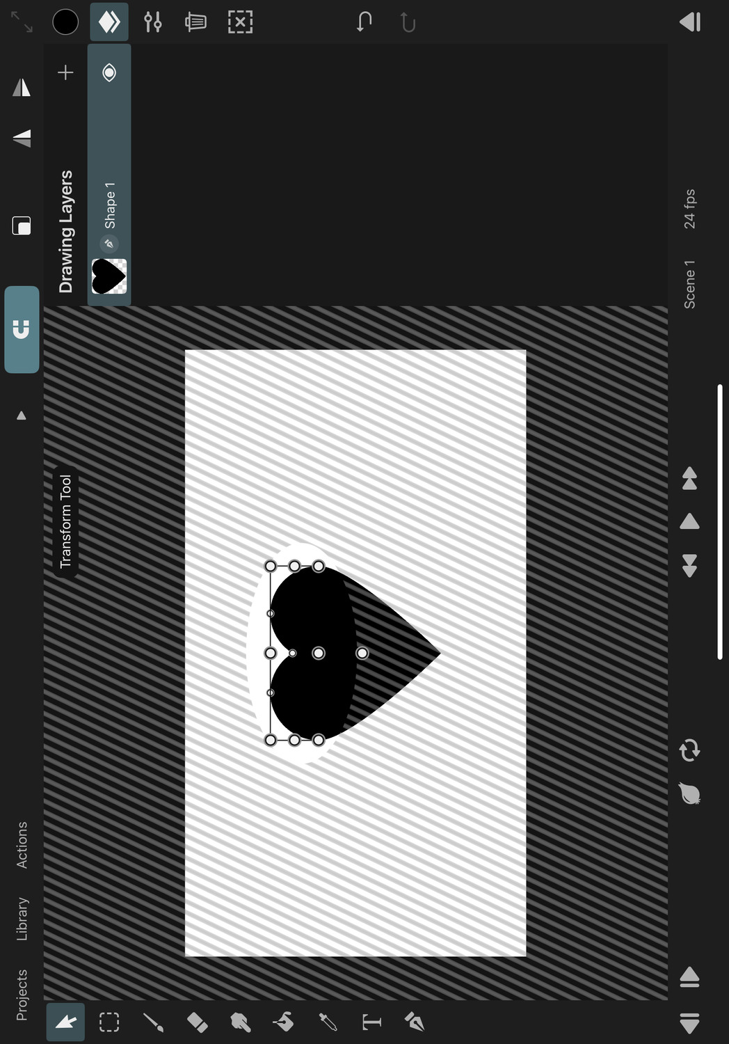 Path layer control point selection transform tool